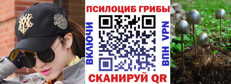 это Telegram  Подпорожье  Псилоцибиновые грибы мухоморы 